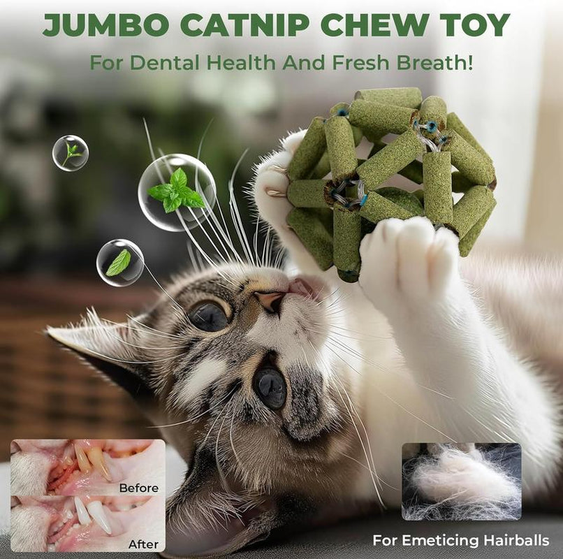 SEKAM Catnip Toys for Cat -Cage Balls & Ball Toy, Cat Toys for Indoor Cats Cleaning Teeth